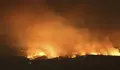 Protecci&oacute;n Civil espera controlar el incendio en el centro de Portugal en las pr&oacute;ximas horas