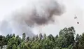 La lucha contra el incendio de Portugal se reparte en G&oacute;is y Pedr&oacute;g&atilde;o Grande