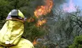 Desalojado el Parador de Mazag&oacute;n por el incendio declarado en Moguer (Huelva)