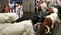 Al menos dos heridos en el encierro m&aacute;s r&aacute;pido de sanfermines