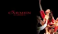 dossier-2014-carmen-flamenca