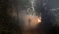 M&aacute;s de tres mil bomberos luchan contra siete grandes incendios en Portugal