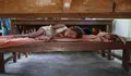 El monz&oacute;n est&aacute; generando una nueva crisis humanitaria en el sur de Asia