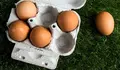 Francia retira de la venta m&aacute;s productos importados con huevos contaminados
