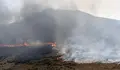 Avanza sin control el incendio intencionado de Le&oacute;n con 35 desalojados